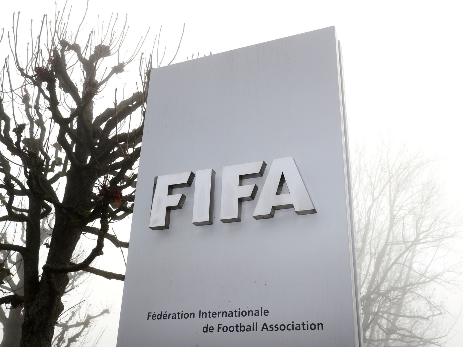 FIFA Dismisses World Cup Referee After Arrest on Alleged Sexual Assault Charges in the UK