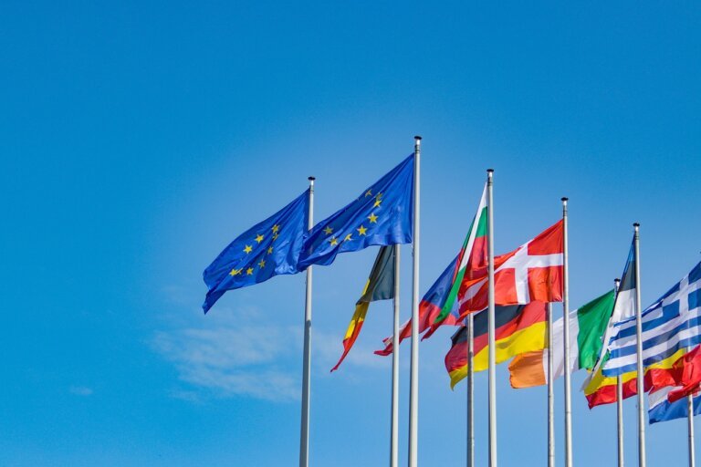 EU and Western Embassies Denounce Assassination of Yemeni Development Fund Executive in Aden