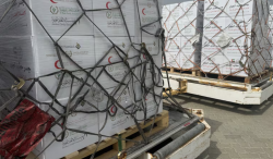 An air bridge from the UAE has brought 100 tonnes of food aid to Gaza.