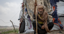 IOM Tracks 4,878 Yemenis Displaced in the First Quarter of 2026