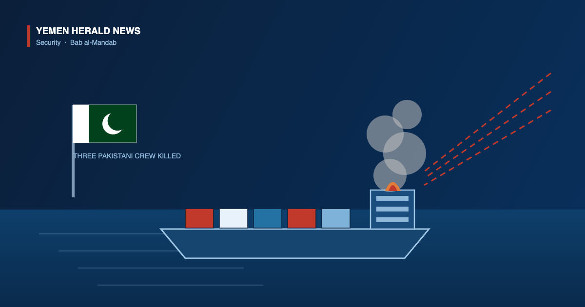 Illustration of a burning cargo ship struck by incoming missiles in the Bab al-Mandab strait, with the flag of Pakistan alongside