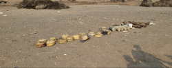 Rows of landmines and unexploded ordnance laid out on open ground after clearance work in Yemen