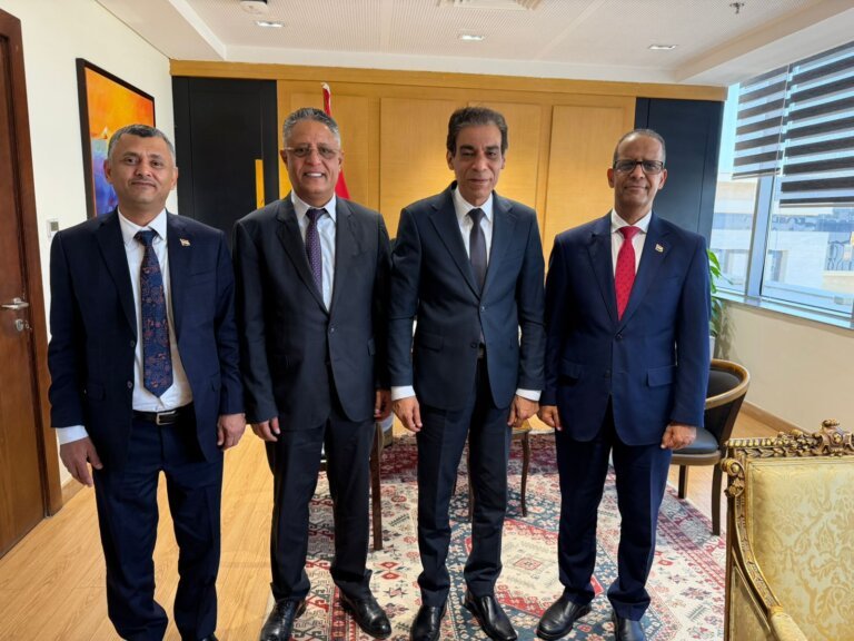 Yemeni and Egyptian officials standing together after talks in Cairo