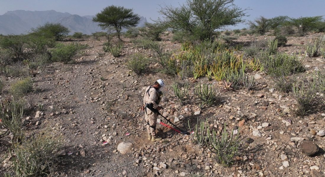 A deminer sweeps rocky scrubland with a metal detector along a marked clearance lane in Yemen