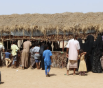 Displaced Yemeni families queue outside a reed shelter in a desert settlement, with water jerrycans and a generator nearby