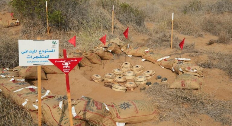 Cleared landmines laid out in rows with red marker flags at a demining site in Yemen