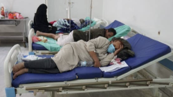 Patients lie on cots receiving treatment at a cholera ward in Yemen