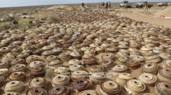 Rows of landmines and unexploded ordnance laid out on the ground after clearance by demining teams in Yemen