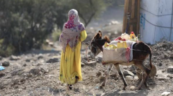 A woman carries a water container beside a donkey loaded with yellow jerrycans on rough ground at the edge of a Yemeni town