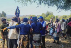 Yemeni civilians gather around aid workers at an outdoor distribution site.
